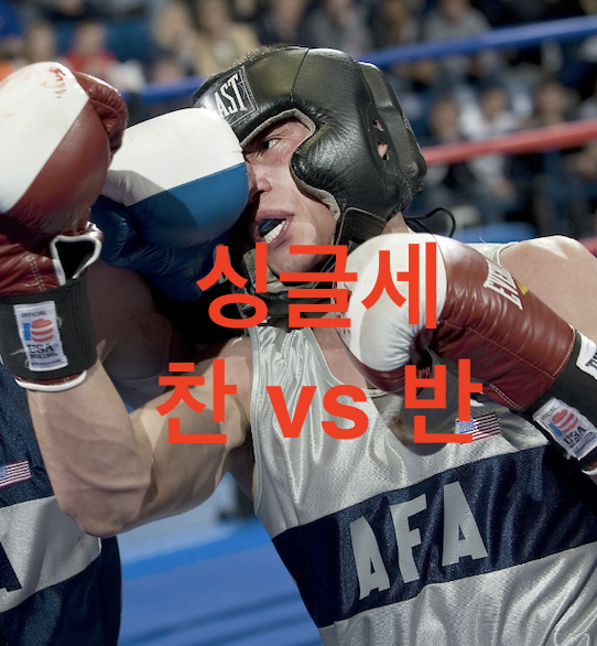 싱글세