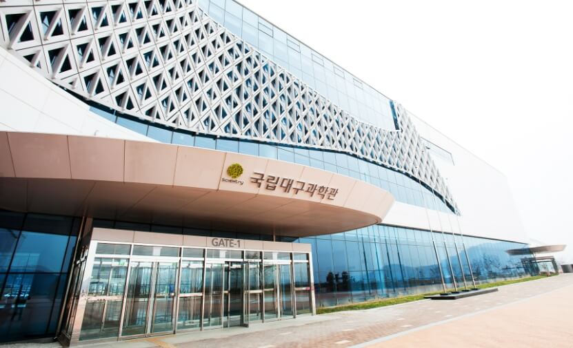 대구 비슬산 참꽃축제 당일여행하기