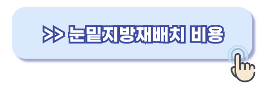 눈밑지방재배치 가격