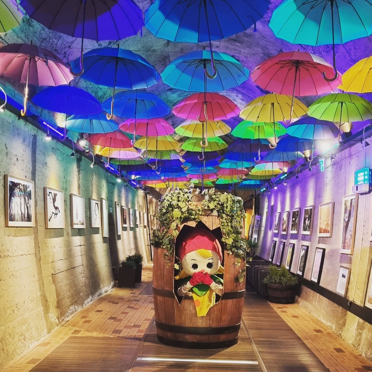 김해와인동굴
