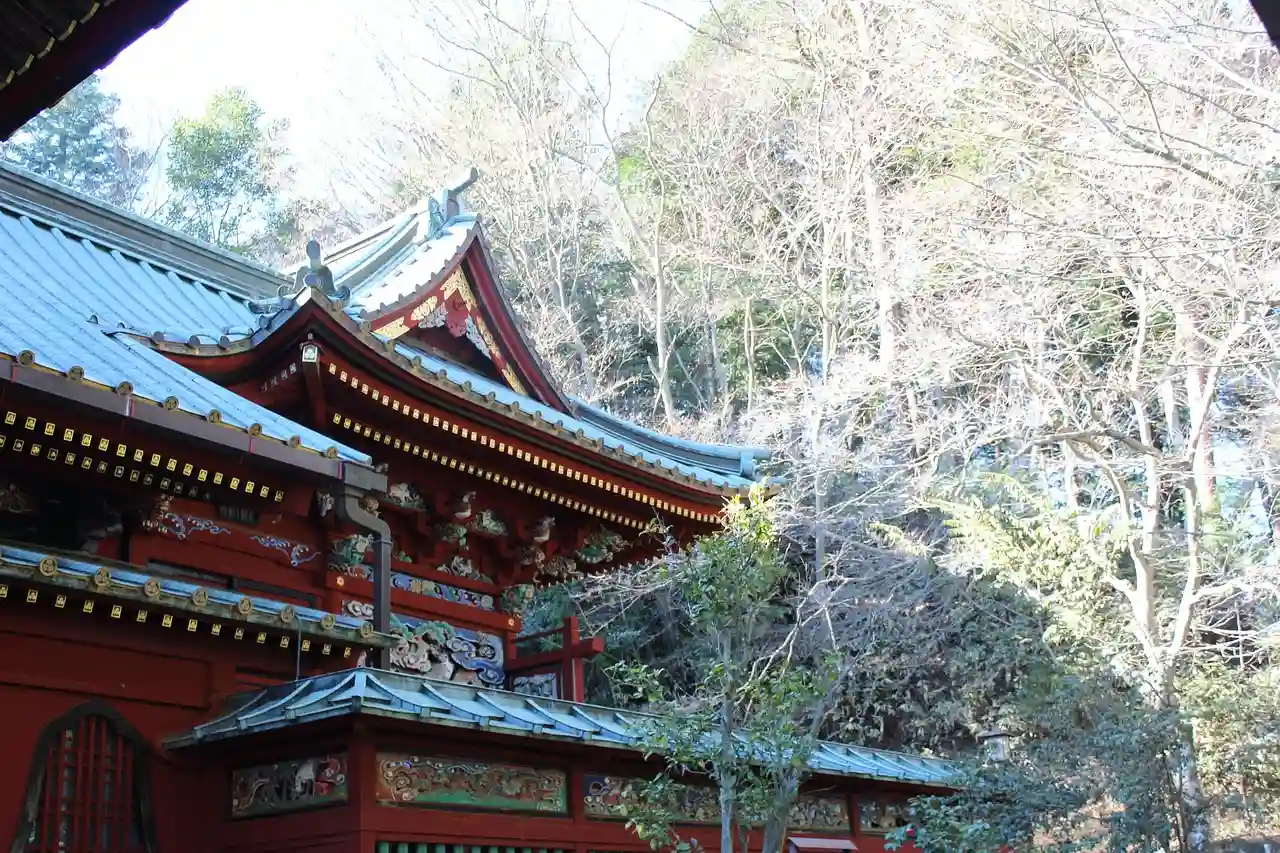 다카오산구치역에서 케이블카 승강장까지 도보 8분