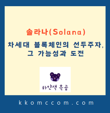 솔라나 관련 포스팅 썸네일