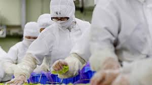 식품위생교육 온라인교육 바로가기