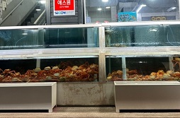 깨끗한수조