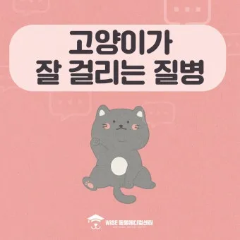 고양이 갑상선 기능 항진증 원인 증상 수치 관리법 총정리 정리자료_13