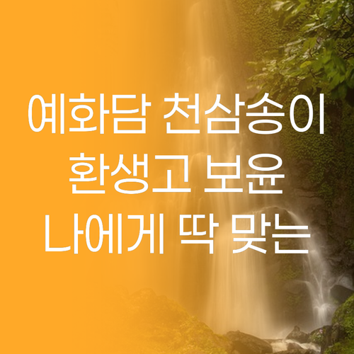 예화담 천삼송이 vs 환생고 보윤, 