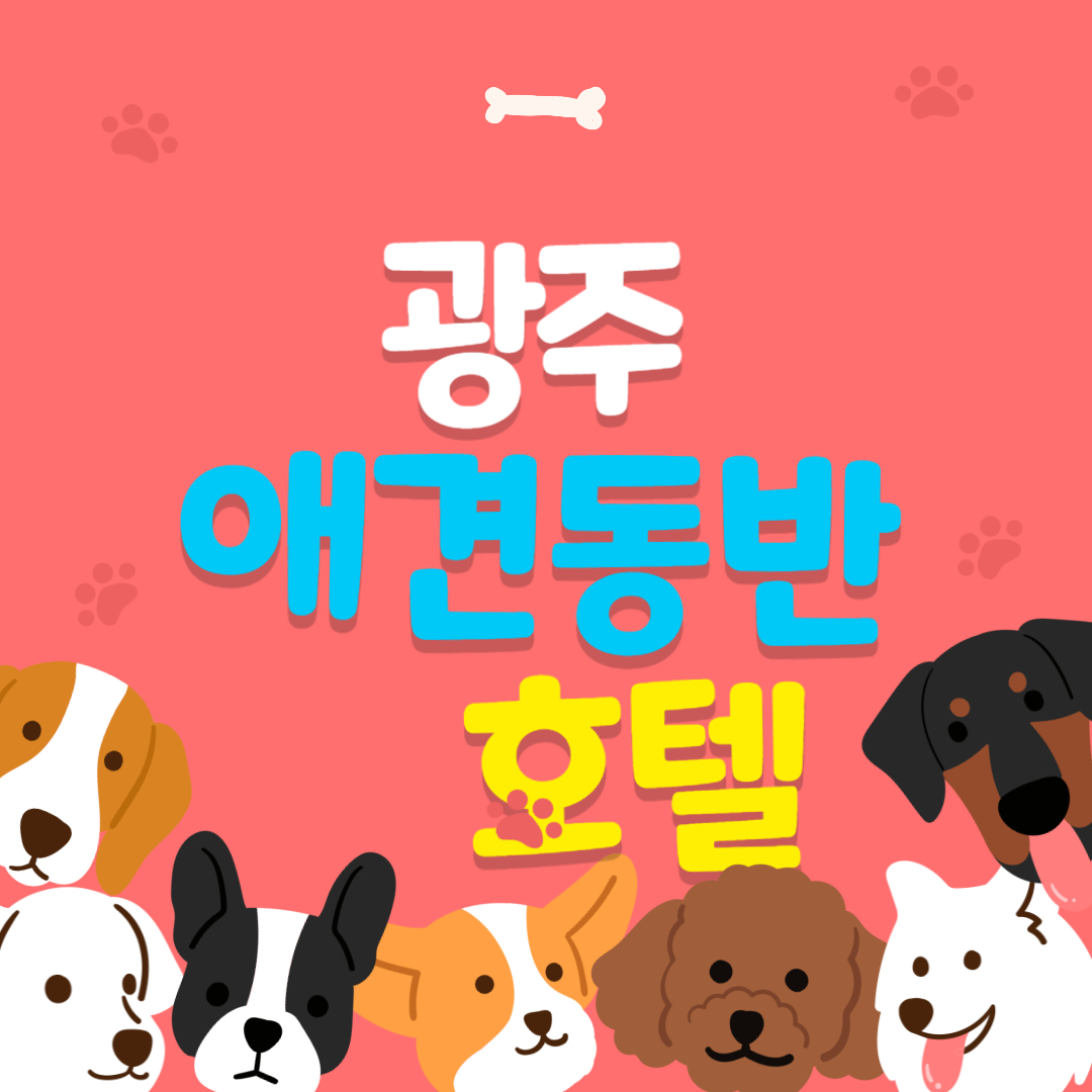 광주 애견동반