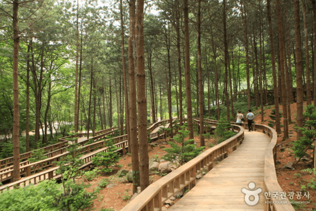 국립 산음 자연휴양림