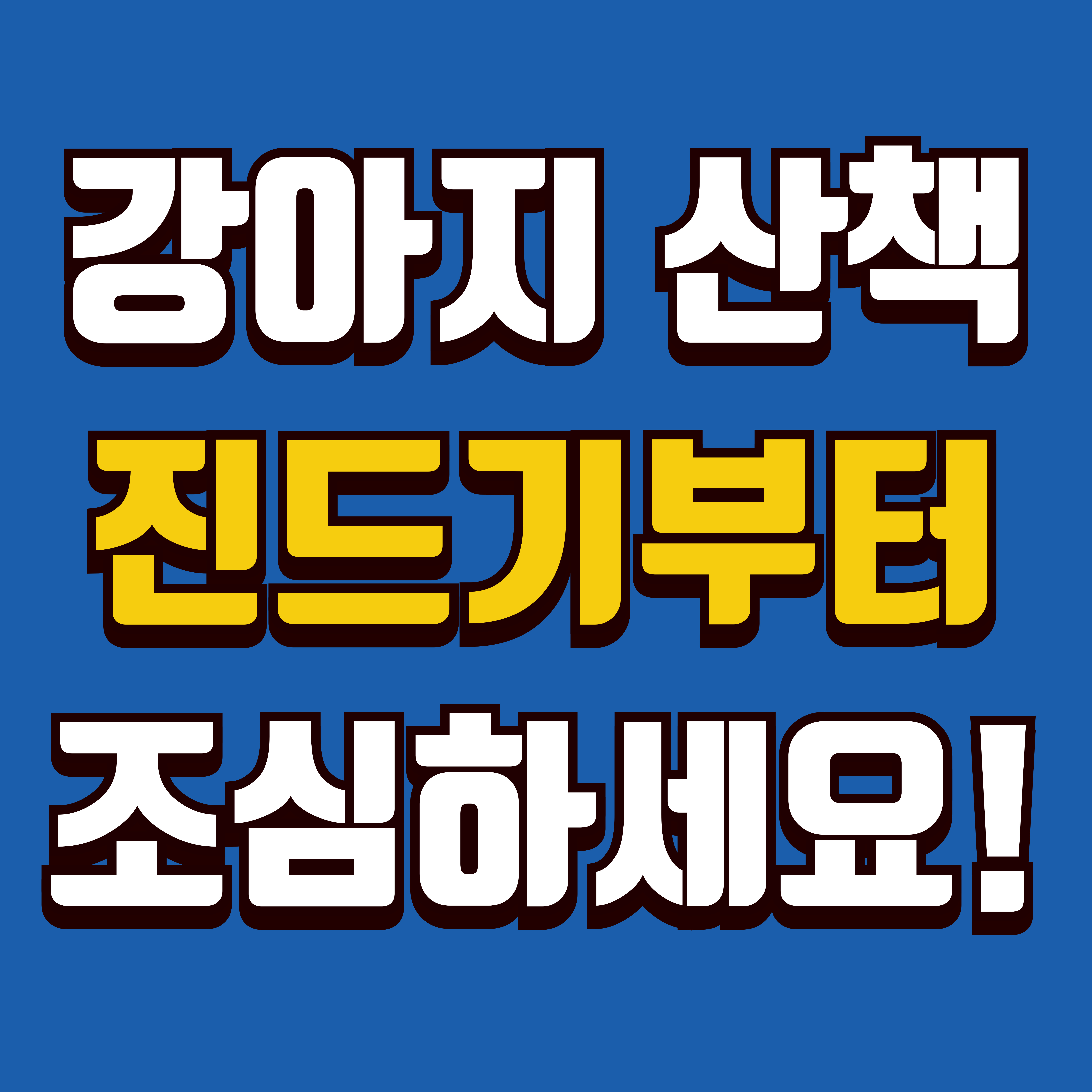 5~6월 강아지 진드기 주의사항을 담은 산책 정보 썸네일 사진