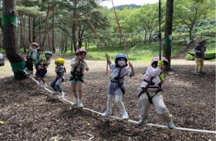 트리-클라이밍-체험