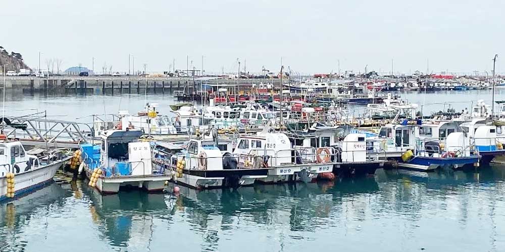 당진, 어촌 정고항 전경
