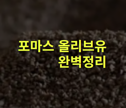 포마스 올리브오일이란? 뜻, 용도, 효능, 올리브유 영양, 제조법.