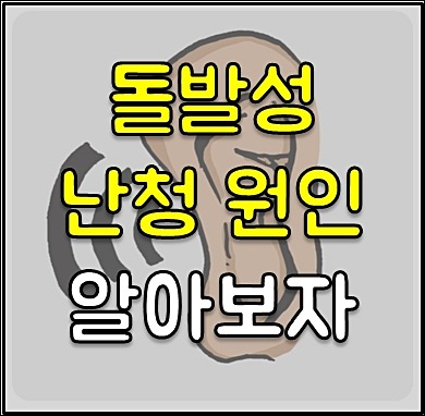 돌발성 난청 원인 1