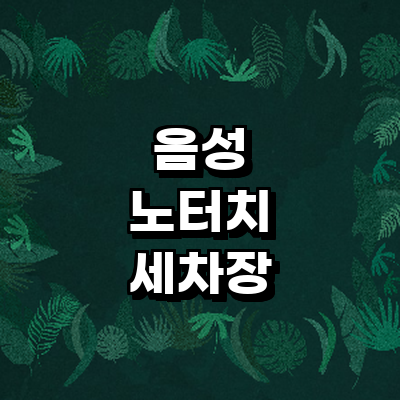 음성군 노터치 세차