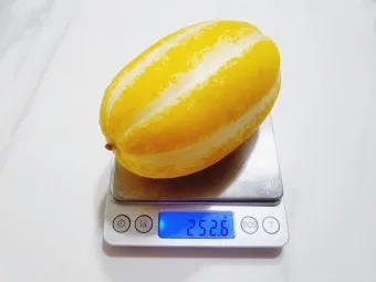 참외 1개 칼로리와 gi 혈당 지수 건강 관리 정보_19