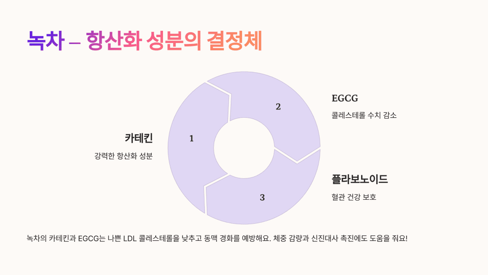 녹차 – 항산화 성분의 결정체