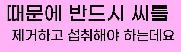 때문에 반드시 씨를 제거하고 섭취해야 하는데요