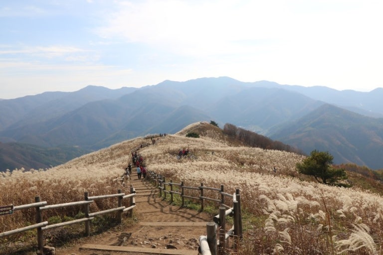 영남알프스 VS 정선 민둥산