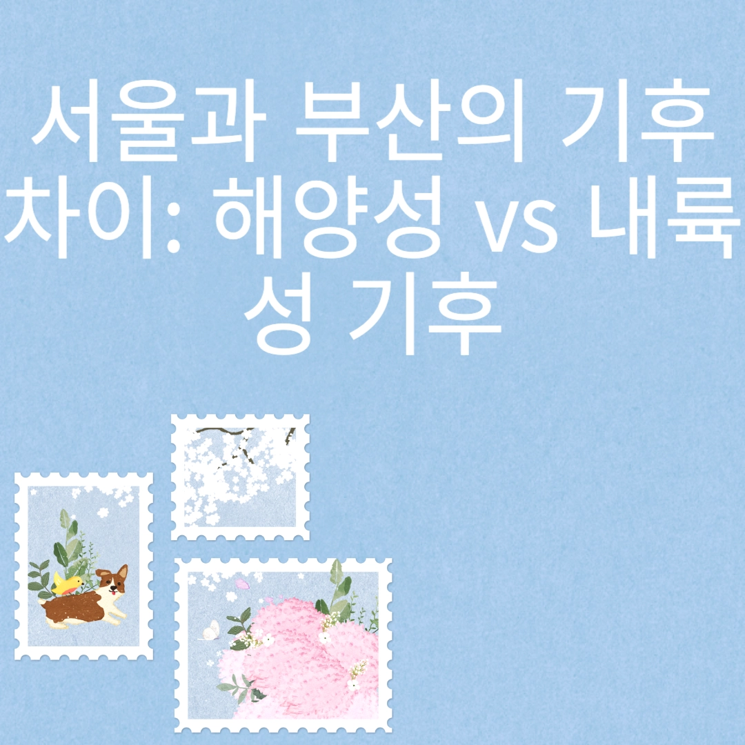 서울과 부산의 기후 차이: 해양성 vs 내륙성 기후 포스팅 섬네일