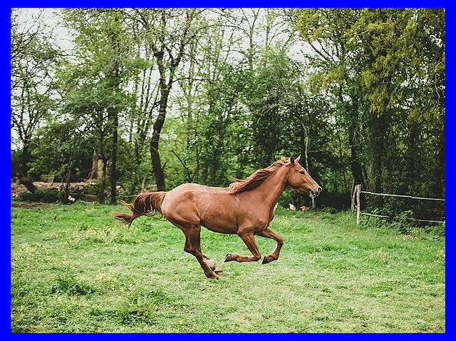2021년 삼재띠 의미