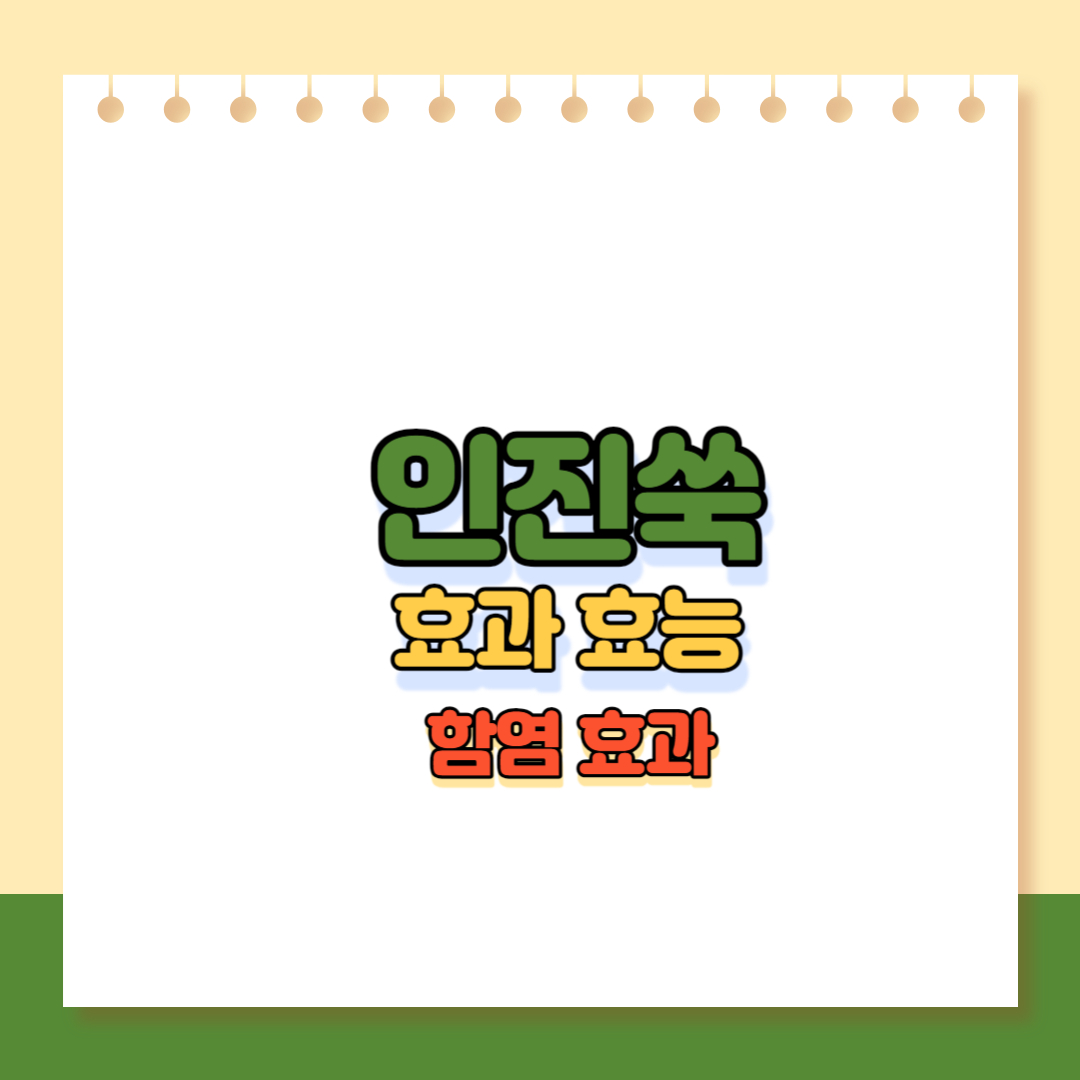 인진쑥 메인