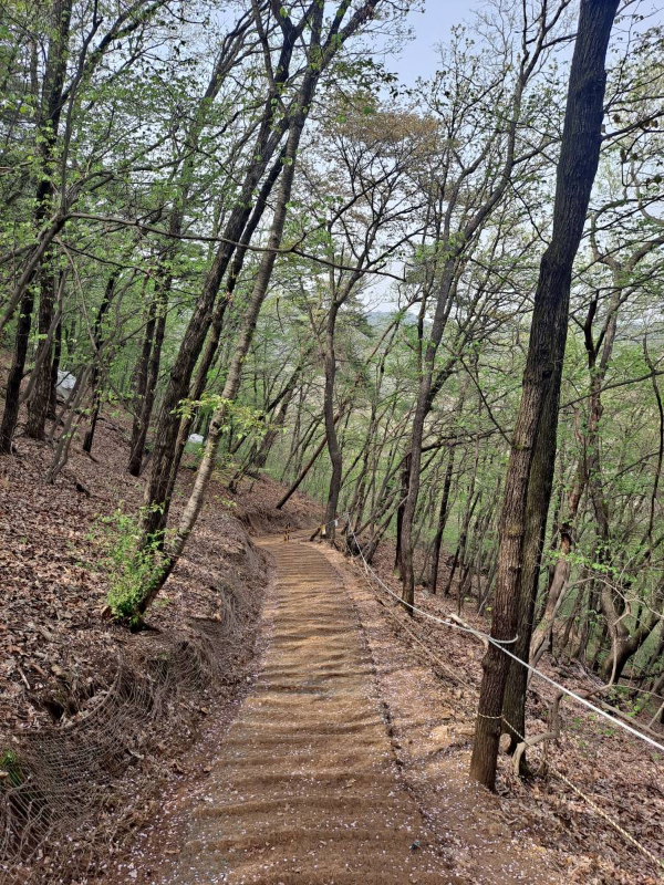 소금산 하산하는 길