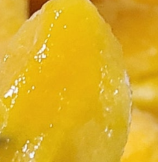 냉동 망고 칼로리