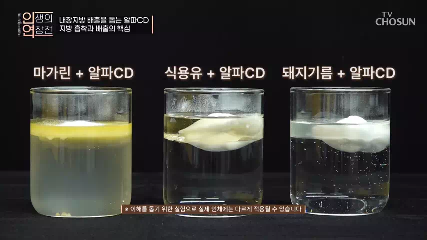 알파CD