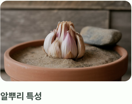 '과습'이라는 치명적인 적을 피하는 법