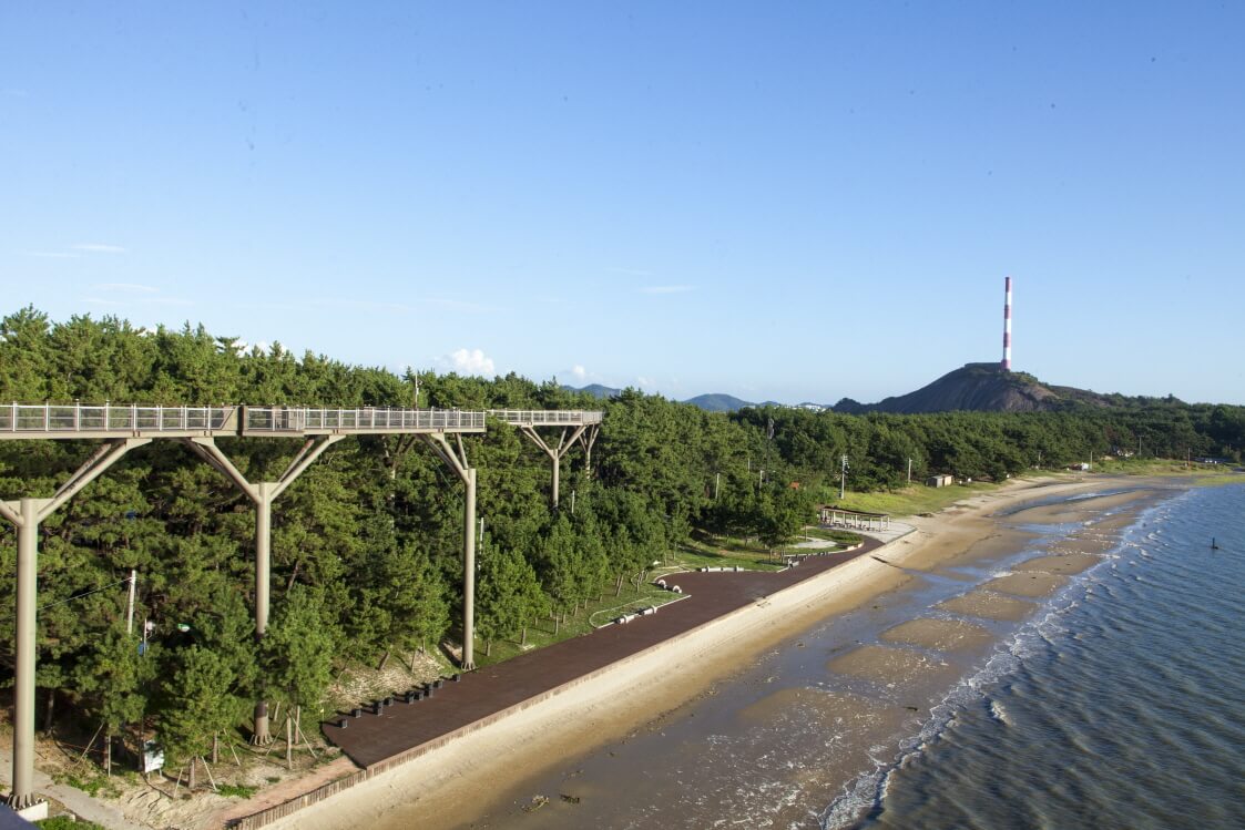 서천 장항 송림산림욕장 스카이워크