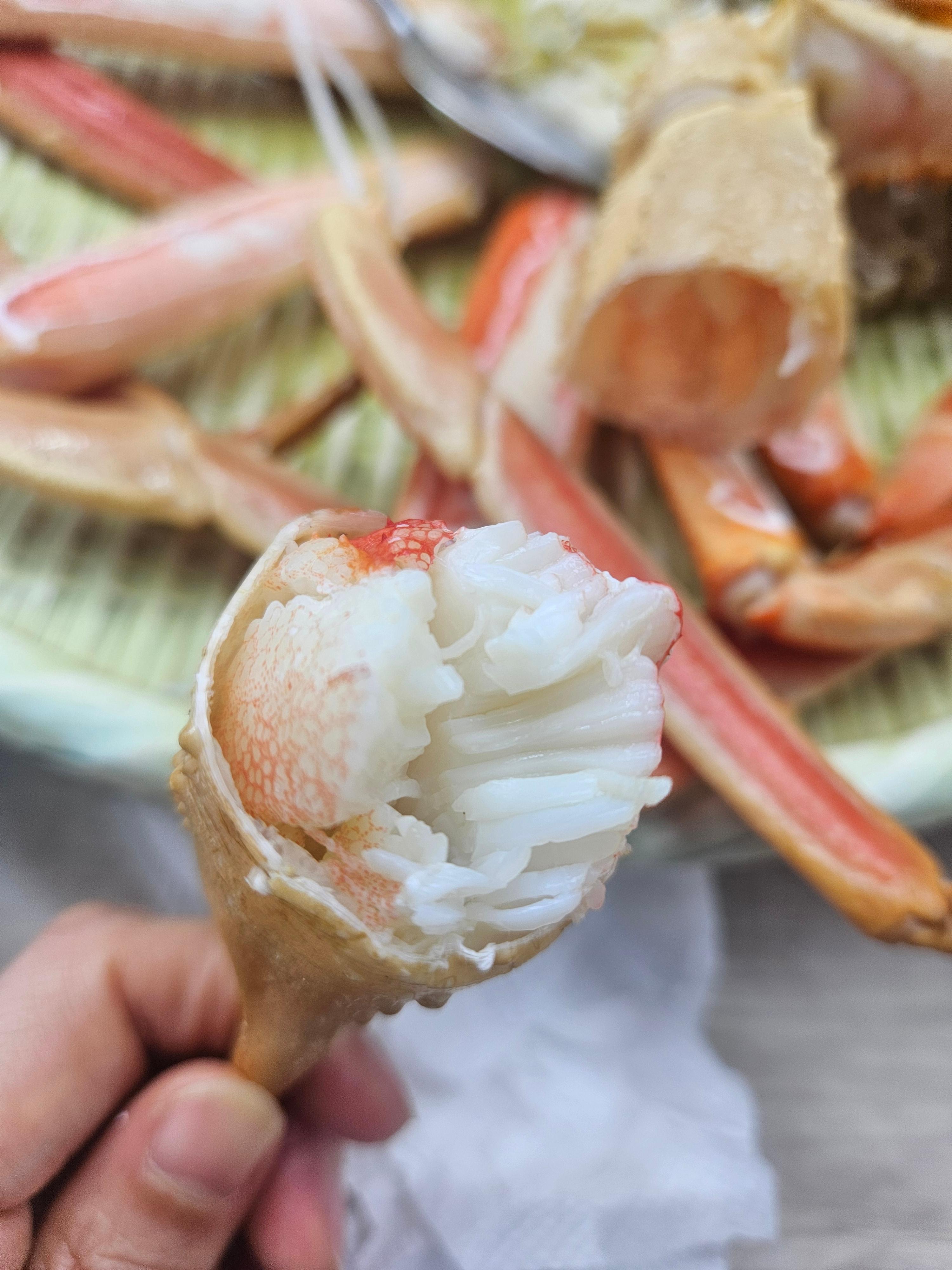 대포항 강남활어