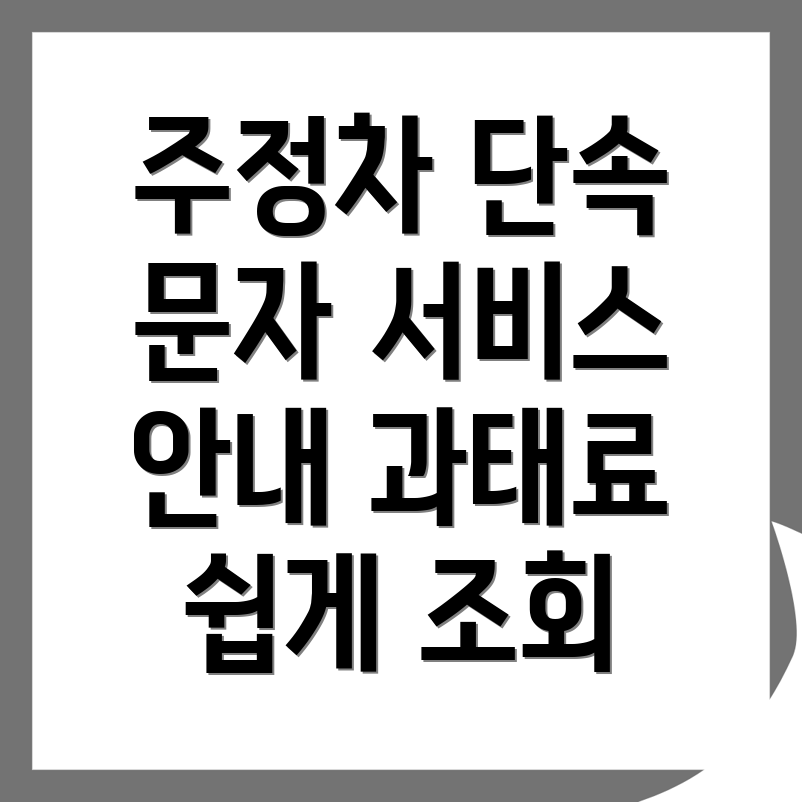주정차단속