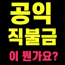 공익 직불금 이란