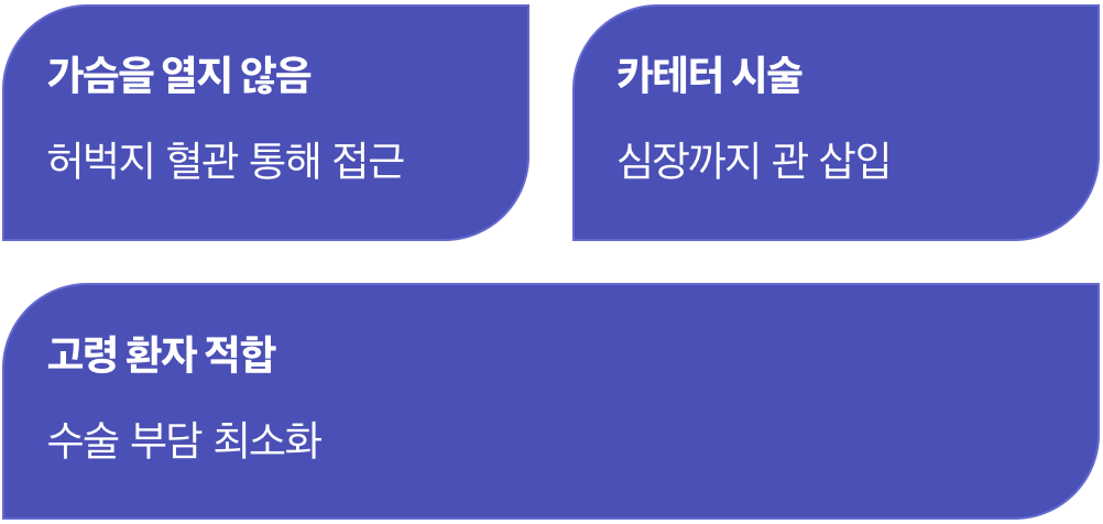 가슴을 열지 않는 새로운 희망, TAVI
