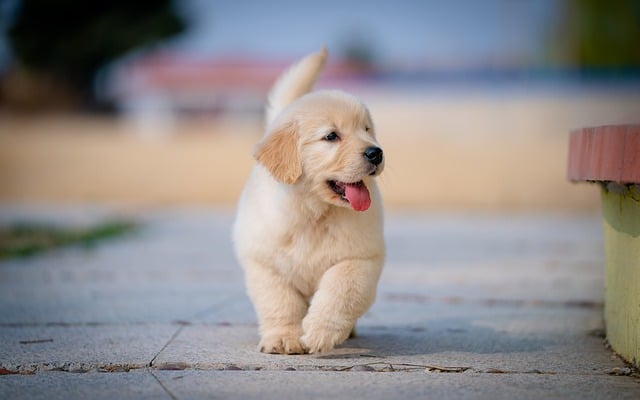 나만의 의식적인 걷기(Mindful Walking) 루틴 만들기