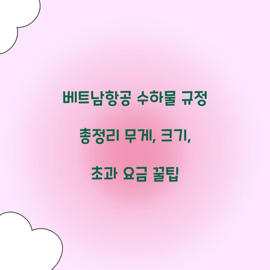 베트남항공 수하물 규정