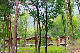 국립자연휴양림