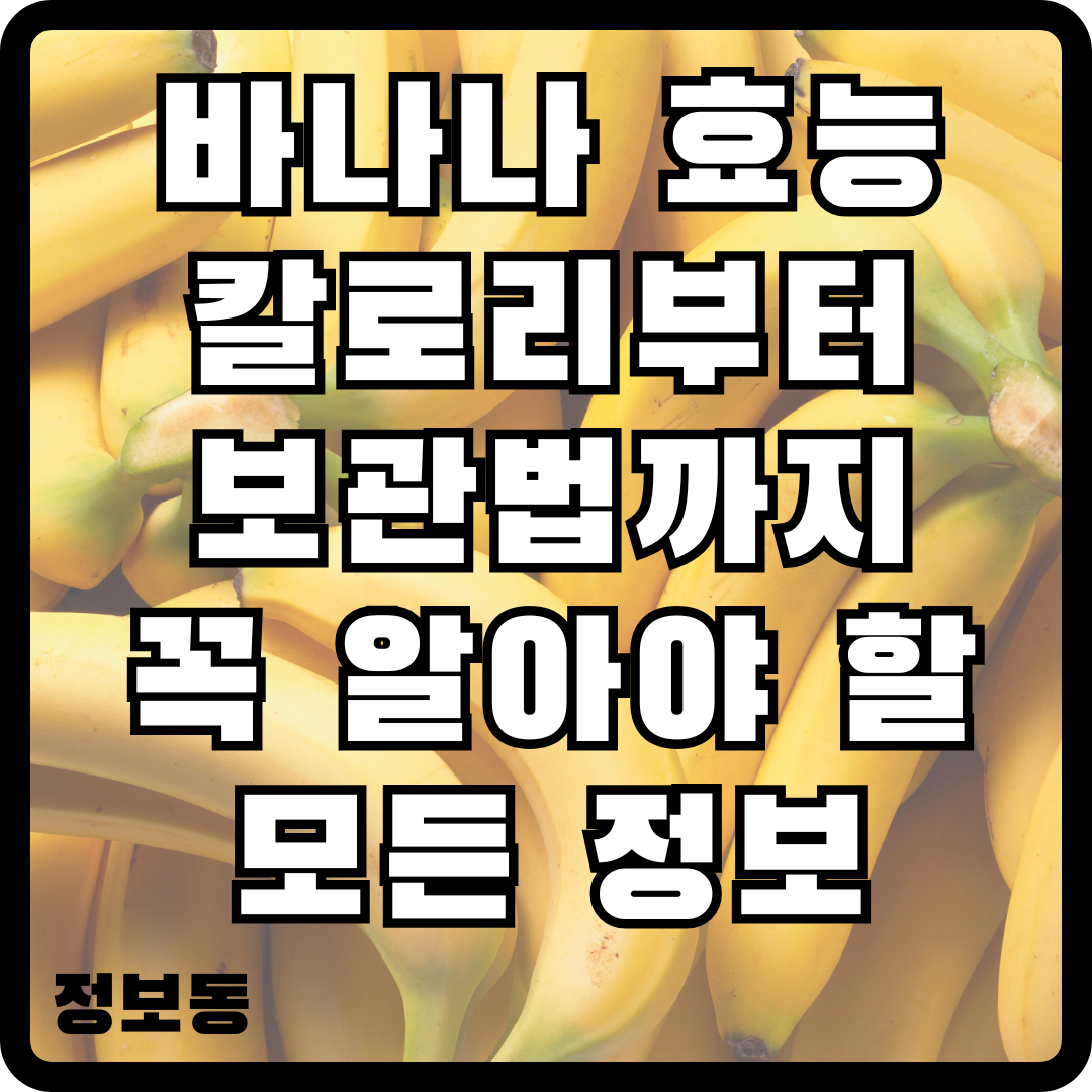 바나나 효능 1개 칼로리부터 보관법까지 꼭 알아야 할 모든 정보