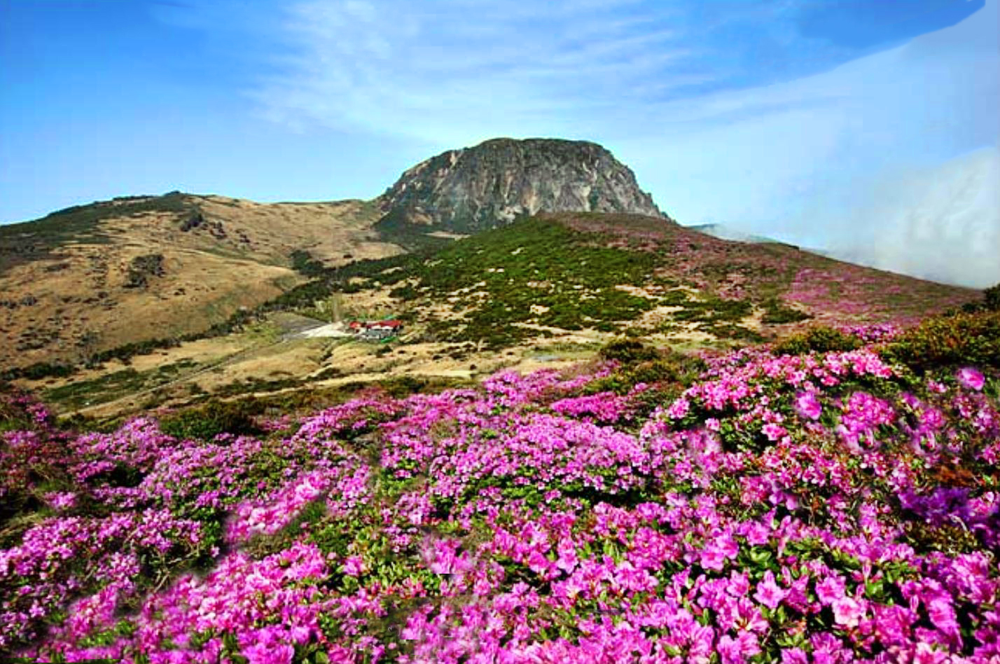 한라산 영실코스