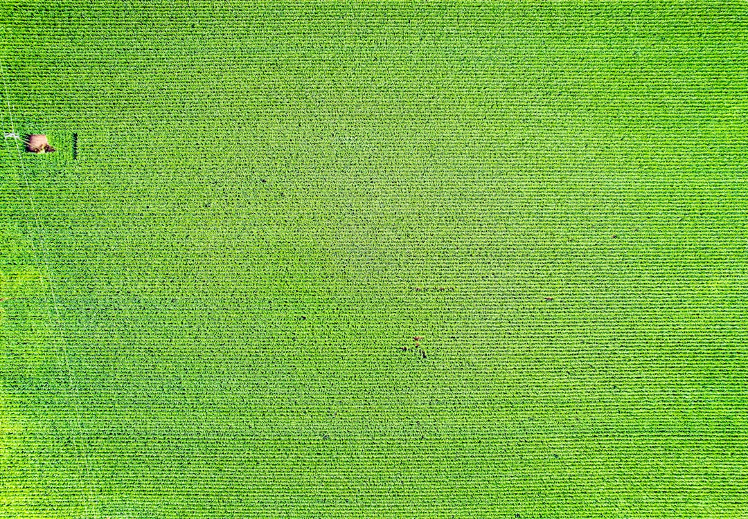 Land Use