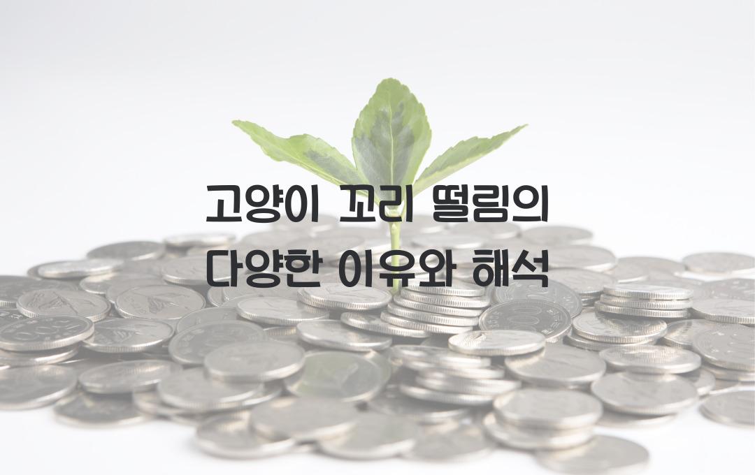 고양이 꼬리 떨림의 다양한 이유