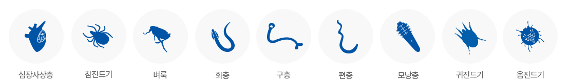 넥스가드로 예방되는 기생충