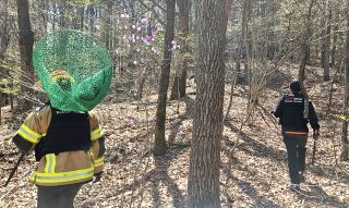 오월드 늑대 탈출 대전 시내 네거리서 목격