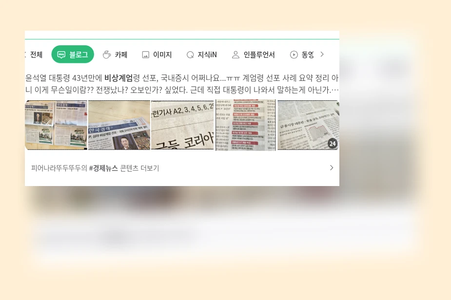 비상계엄과 경제_1_subsection