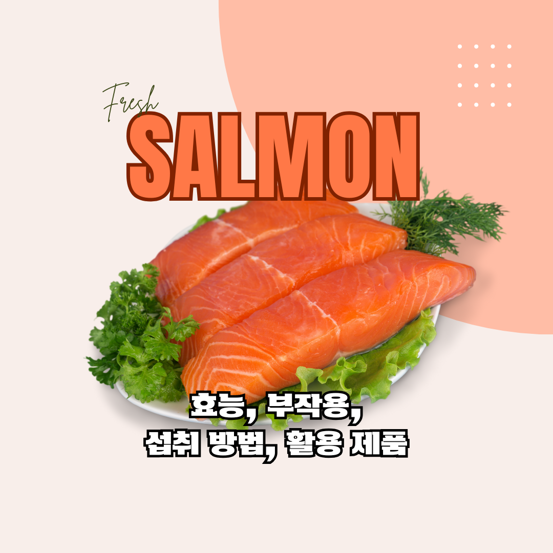 연어 효능