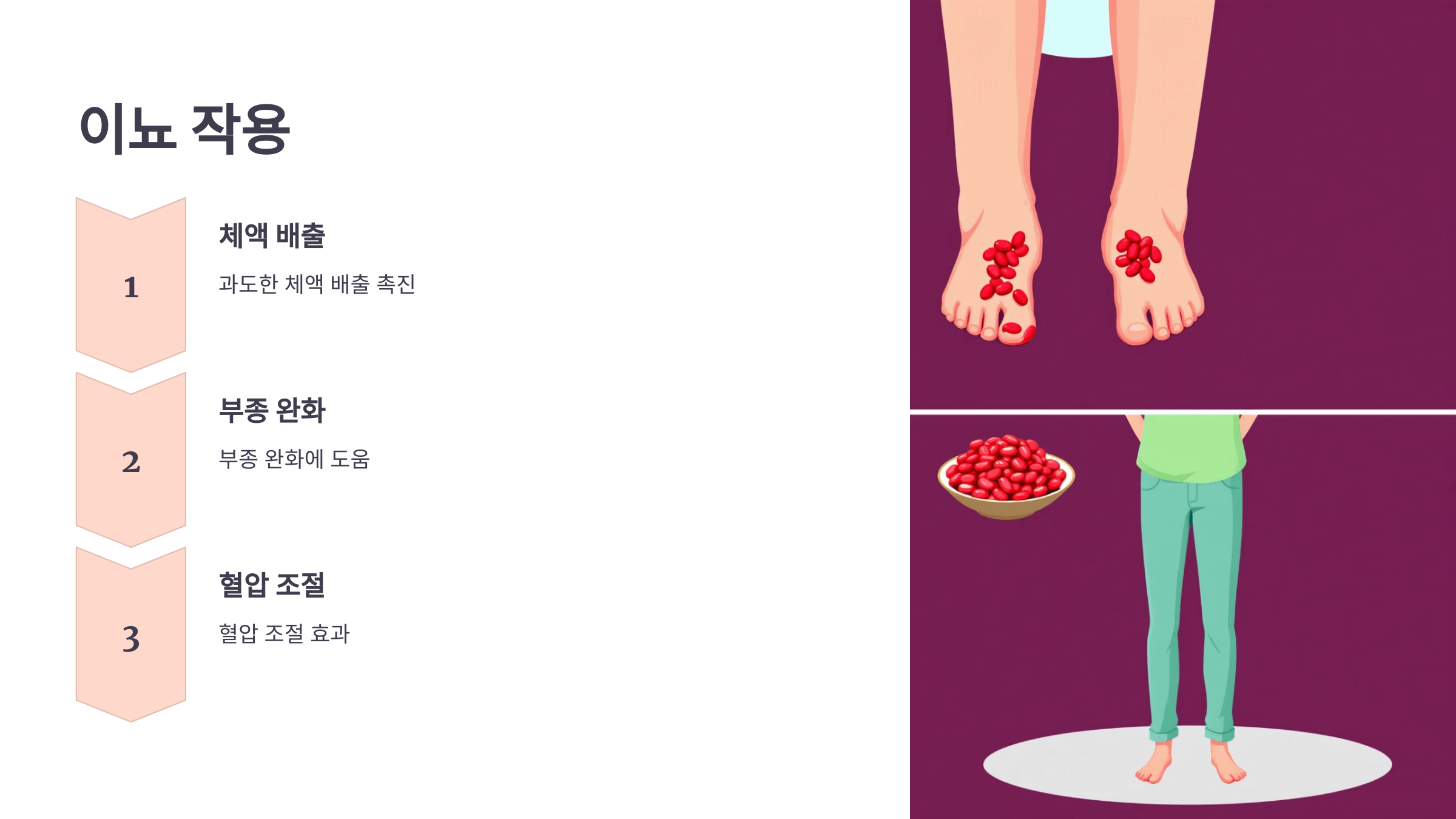 팥 사진입니다.