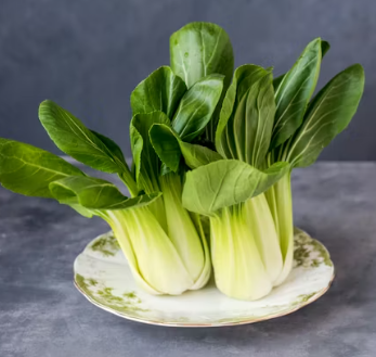 비타민A 복용시간 풍부한 식품