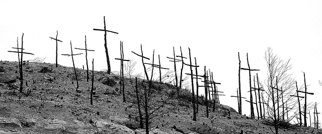 산불 소방 관련주