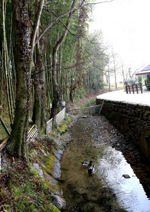 담양 소쇄원 입장료·운영시간·주변 관광 정보