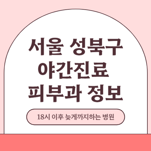 서울 성북구 야간진료 피부과 병원 (18시 이후 늦게까지하는 병원)